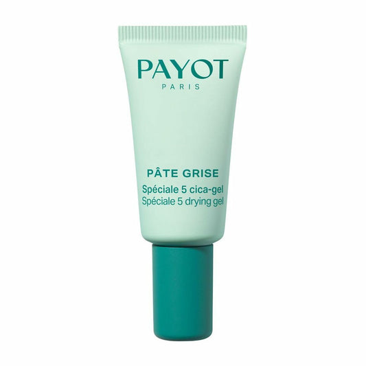 Day Cream Payot PÂTE GRISE Payot