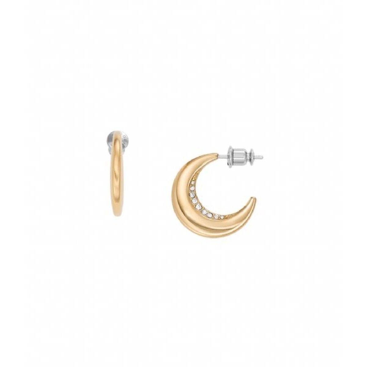 Ladies' Earrings Skagen SKJ1611710