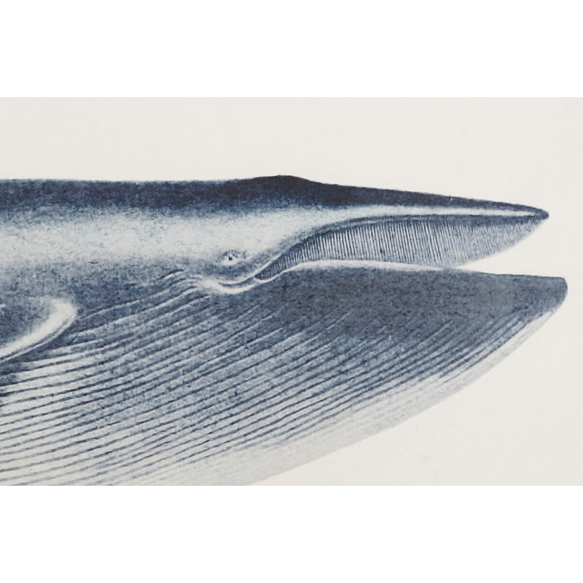 Painting Home ESPRIT Whale 70 x 2,5 x 35 cm (2 Units) Home ESPRIT