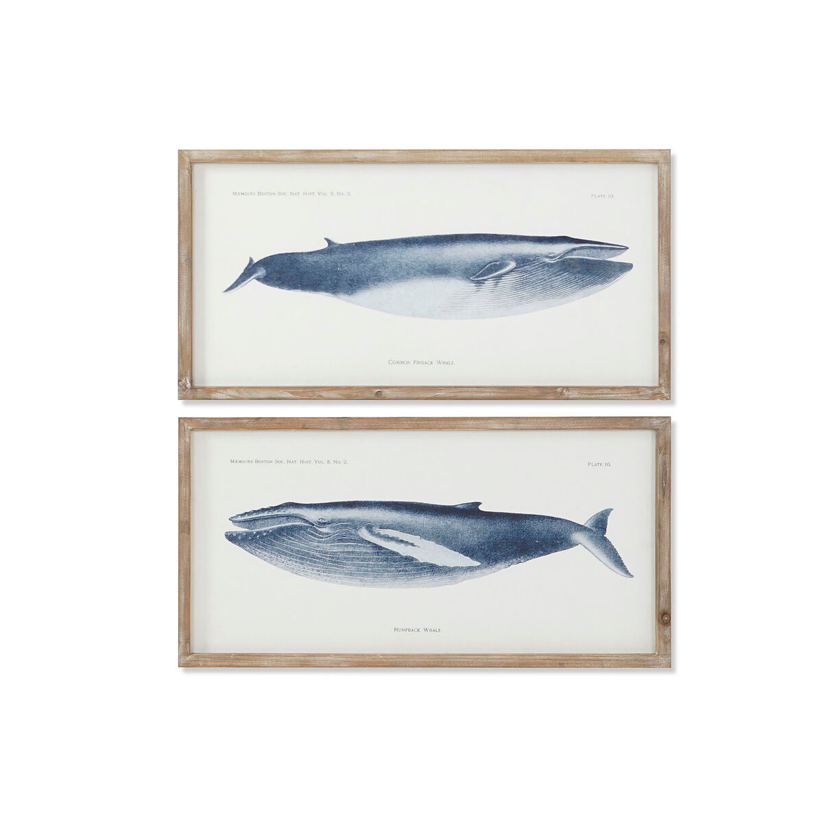 Painting Home ESPRIT Whale 70 x 2,5 x 35 cm (2 Units) Home ESPRIT