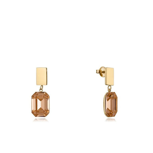 Ladies' Earrings Viceroy 14081E01012