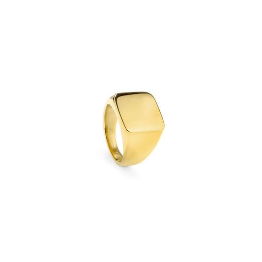 Men's Ring Radiant RH000027-24 24 Radiant